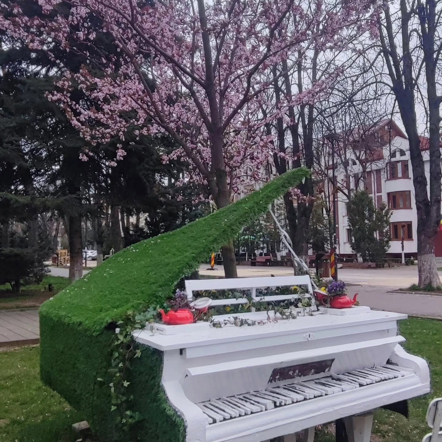Pianul decorativ din grădina La Barista, printre copaci înfloriți
